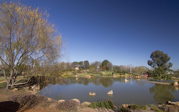 Singles in Dubbo: view of the city